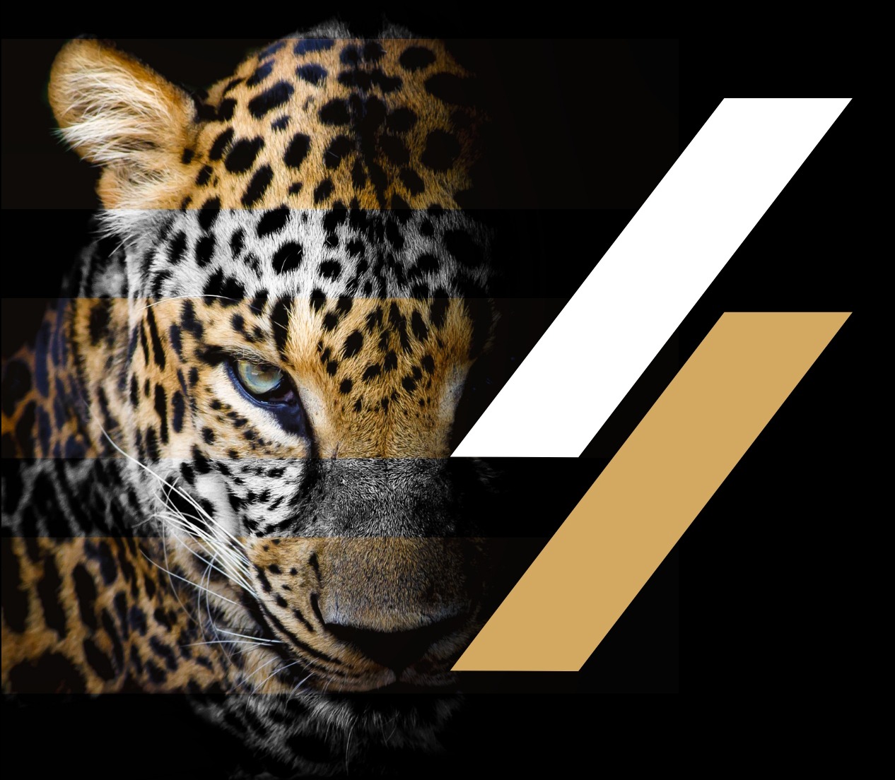 Medicina Estetica a Torino Dott Massimo Luni